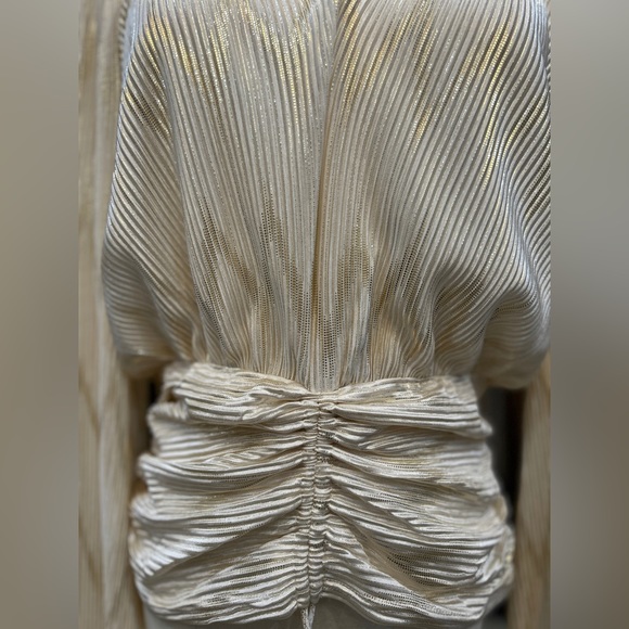 Cream and Gold Metallic stripe Top with Rushing Waist - Picture 3 of 3
